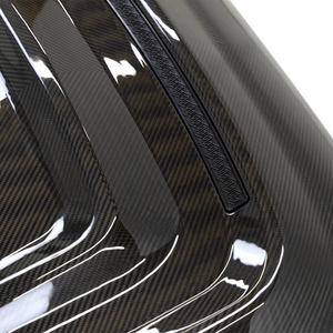 Dry Carbon Bonnet Zhou's-5