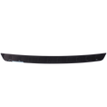 Rear Scuff Plate-1
