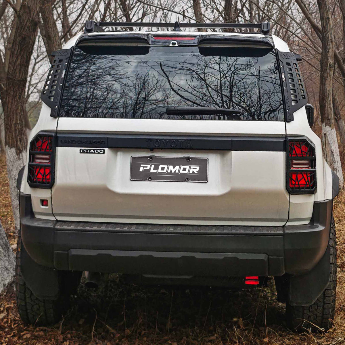 LC250 Off-Road Tail Light Protection