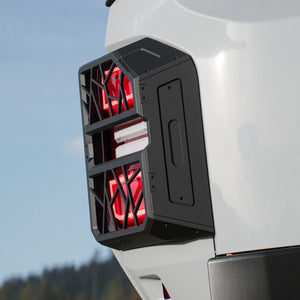 LC250 Powder-Coated Tail Light Guards