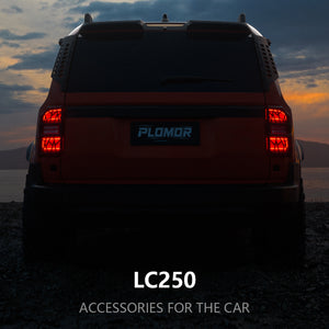LC250 Tail Light Guards Front View