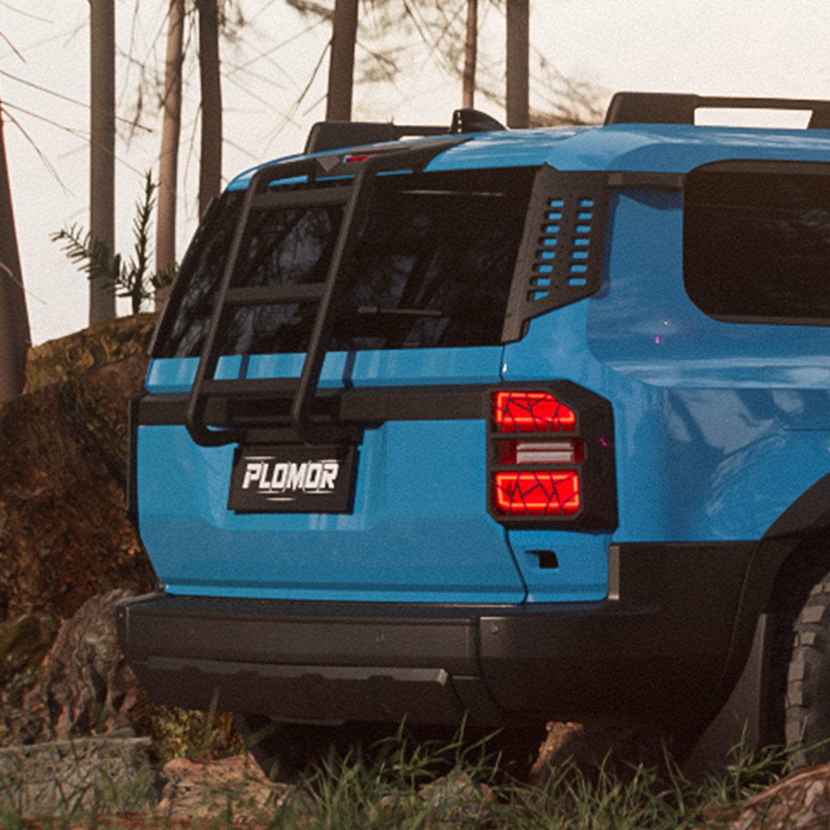 Toyota Land Cruiser LC250 Aluminium Rear Ladder Installed